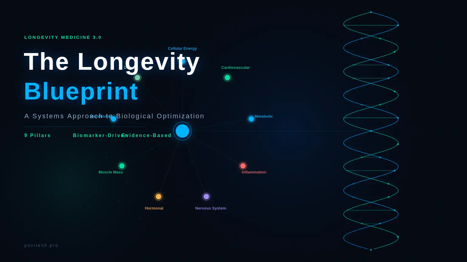 The Longevity Blueprint: A Systems Approach to Biological Optimization